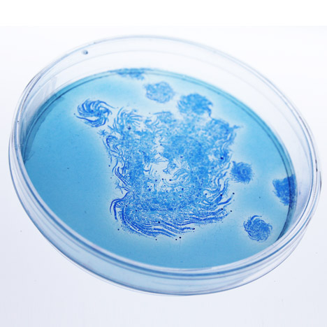 BioDesign ink by Ori Elisar