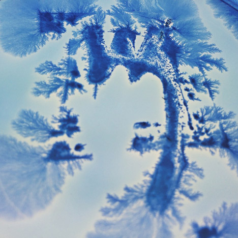 BioDesign ink by Ori Elisar