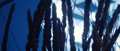 Floating Points Silhouttes music video