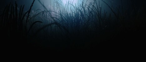 Floating Points Silhouttes music video
