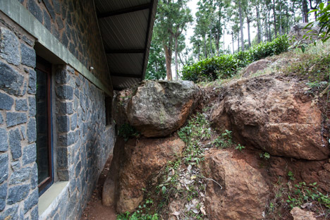 Hornbill House by Biome Environmental Solutions
