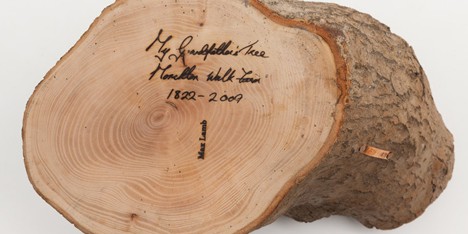 My Grandfathers Tree