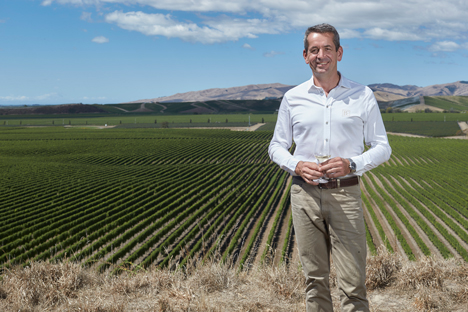 Patrick Materman overlooking Brancott Vineyard