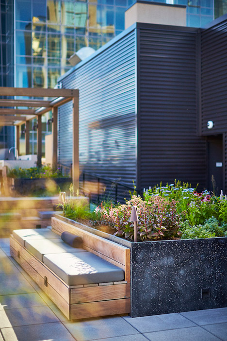 Piet Oudolf's Huys rooftop terrace