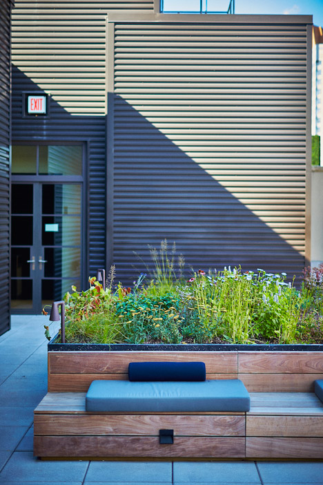 Piet Oudolf's Huys rooftop terrace