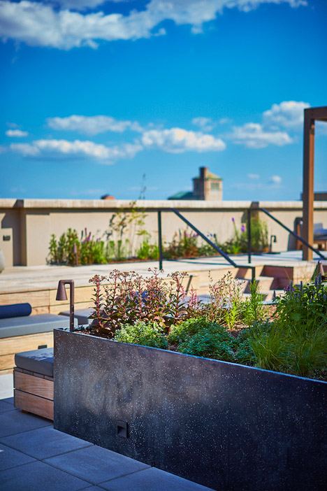 Piet Oudolf's Huys rooftop terrace