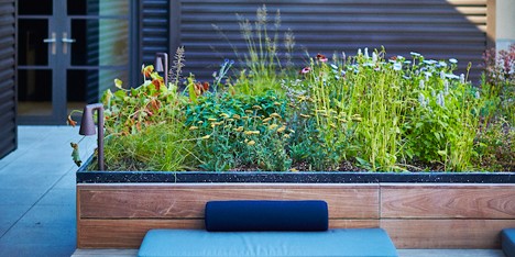 Piet Oudolf's Huys rooftop terrace