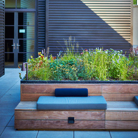 Piet Oudolf's Huys rooftop terrace