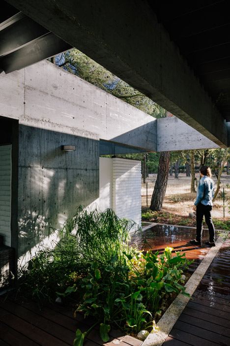 San Lucas Pavilion by FRPO