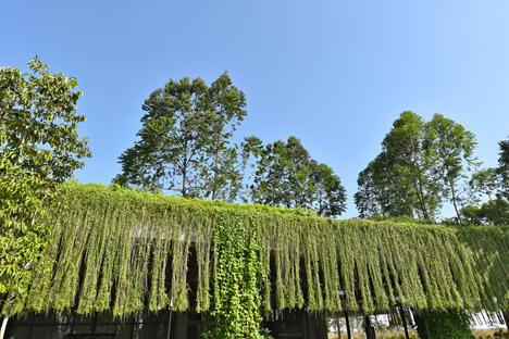 The Arc at Bandar Rimbayu by Garis Architects