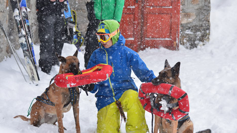 The Pocket Snowshoes Small Foot Ltd