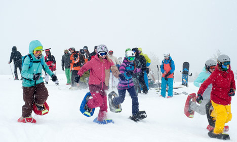 The Pocket Snowshoes Small Foot Ltd