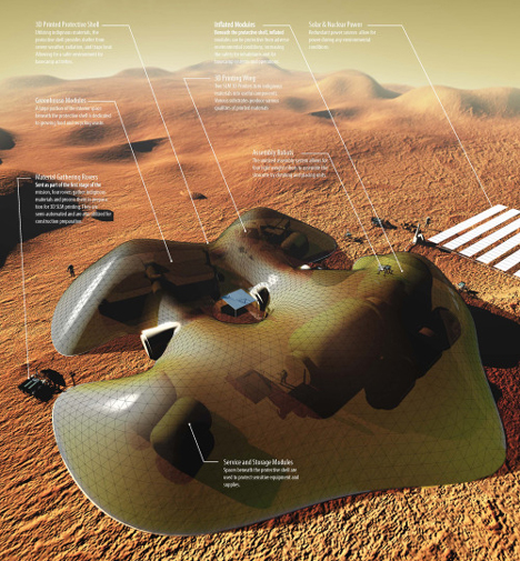 Mollusca L5 by LeeLabs