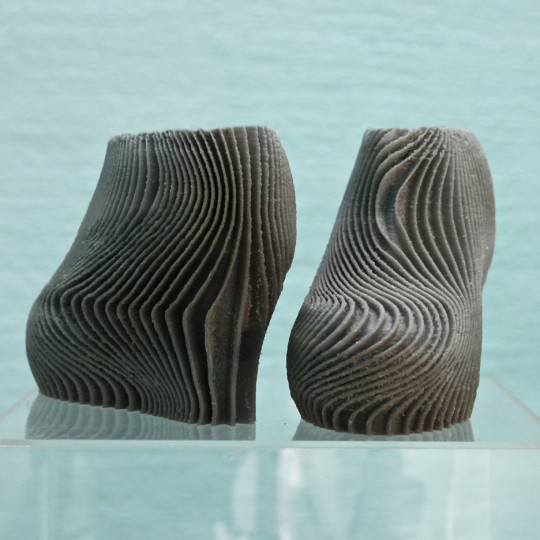 3D printed shoes by Troy Nachtigall
