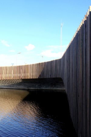 Bat friendly bridge by NEXT Architec