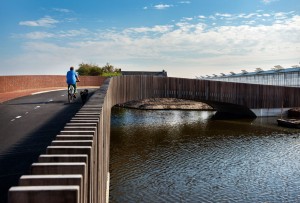 Bat friendly bridge by NEXT Architec