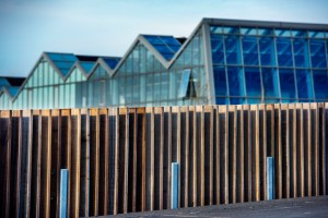 Bat friendly bridge by NEXT Architec