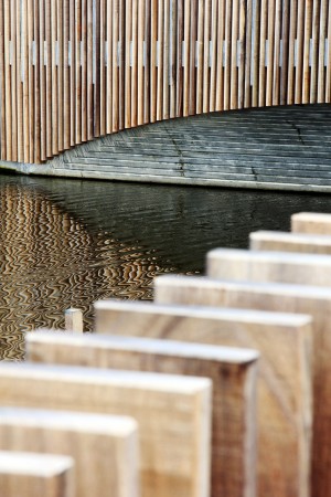 Bat friendly bridge by NEXT Architec