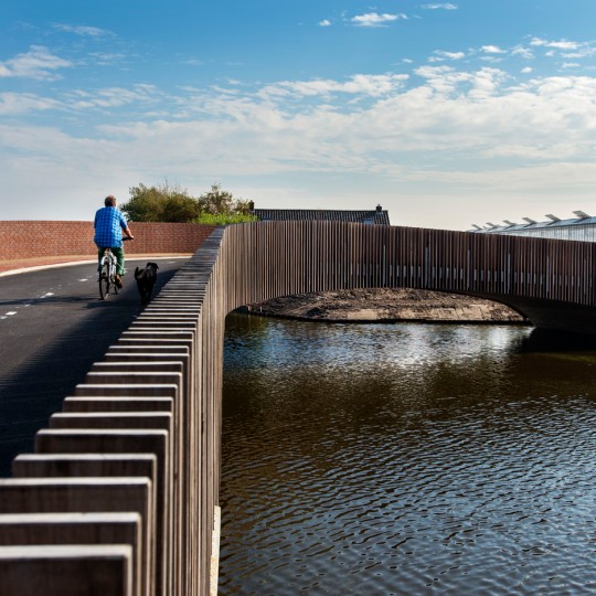 Bat friendly bridge by NEXT Architec