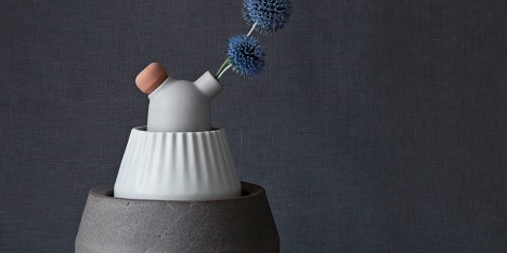 Biophilia by Stoft and Zol Art