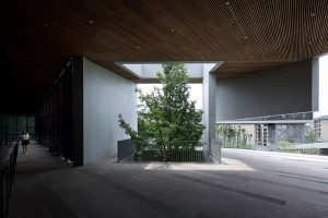 Chongqing Taoyuanju Community Center by Vector Architects