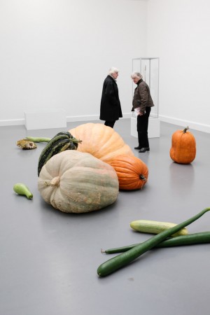 Dutch Design Week promotion