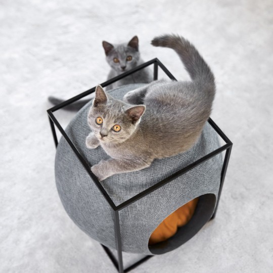 Furniture for cats by Meyou