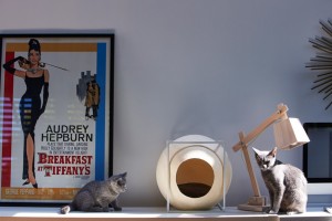 Furniture for cats by Meyou