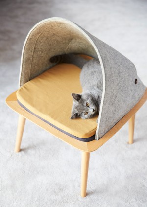 Furniture for cats by Meyou