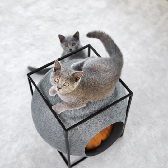 Furniture-for-cats_Meyou-Paris_dezeen_