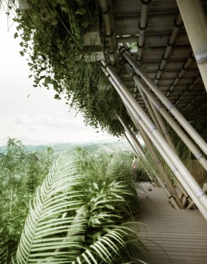Future Vision for Rising Canes by Penda