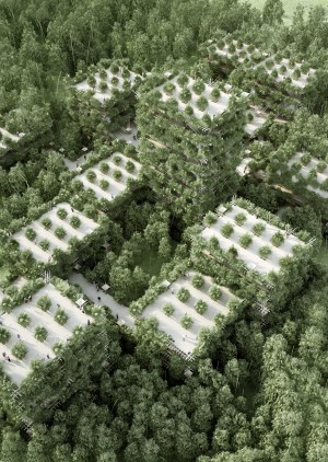Future Vision for Rising Canes by Penda