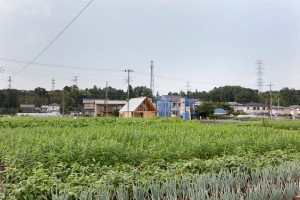Gabled roof Kawagoe by Tailored Design Lab