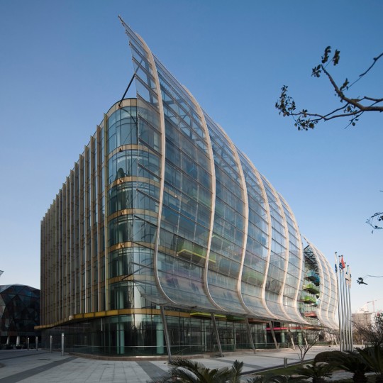 Gao Yang in Shanghai, China, by Will Alsop