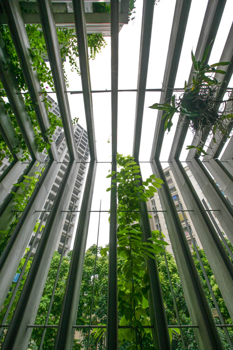 Growing Green Office by 102 Studio