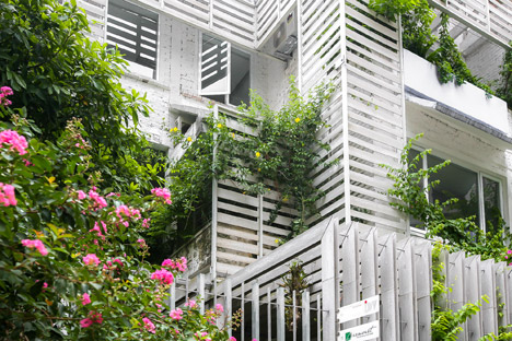 Growing Green Office by 102 Studio