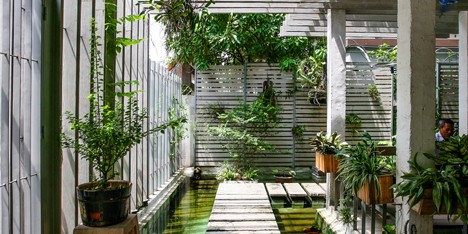 Studio 102 converts an empty Hanoi house into a plant-covered office and showroom