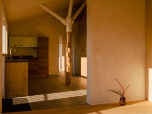 Hempcrete house by Martens Van Caimere Architecten