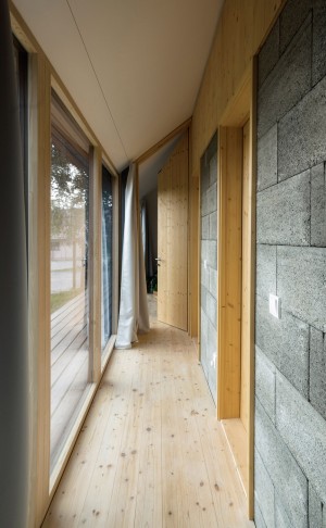 DomT house in Slovakia by Martin Boles