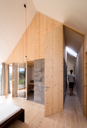 DomT house in Slovakia by Martin Boles