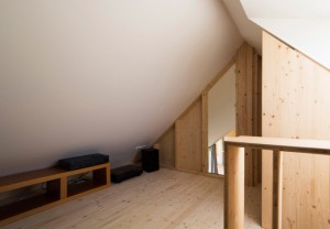 DomT house in Slovakia by Martin Boles