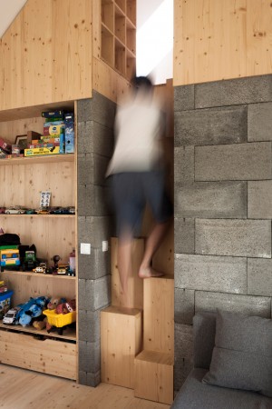 DomT house in Slovakia by Martin Boles