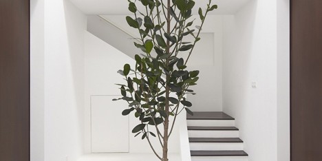 Ittka House by Fabian Tan