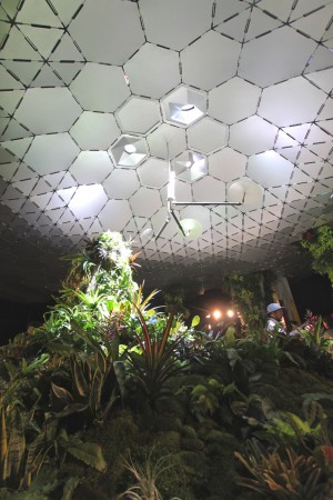Lowline Lab underground park on Essex Street in Manhatten
