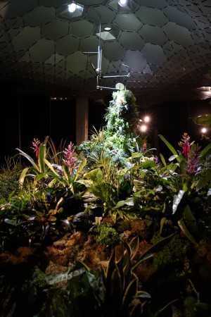 Lowline Lab underground park on Essex Street in Manhatten