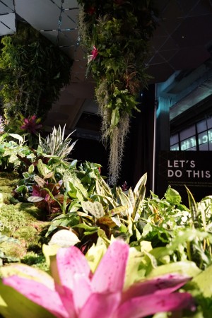 Lowline Lab underground park on Essex Street in Manhatten