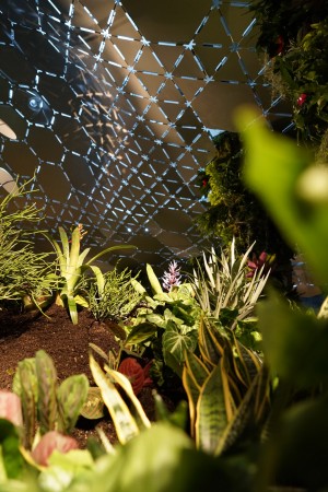 Lowline Lab underground park on Essex Street in Manhatten
