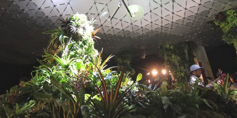 Lowline Lab underground park on Essex Street in Manhatten