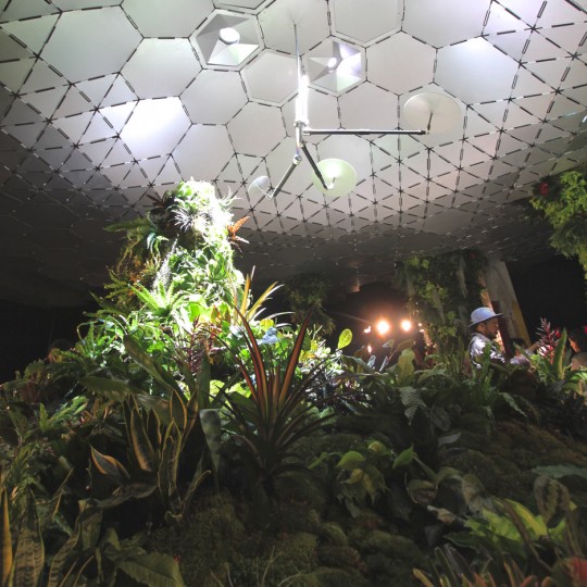 Lowline Lab underground park on Essex Street in Manhatten