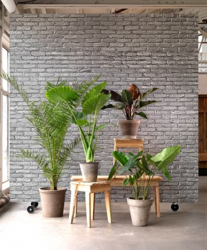 Wallpaper design by Piet Hein Eek and NLXL
